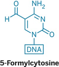 Serving the chemical, life science, and laboratory worlds