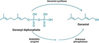 Serving the chemical, life science, and laboratory worlds