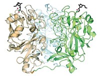 Serving the chemical, life science, and laboratory worlds