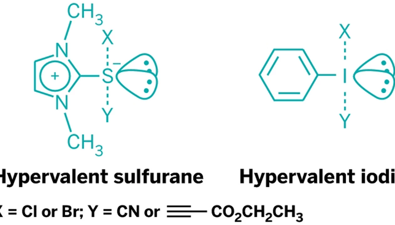 Sulfuranes As Group-Transfer Reagents