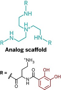 Serving the chemical, life science, and laboratory worlds