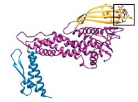 Serving the chemical, life science, and laboratory worlds