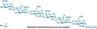 Serving the chemical, life science, and laboratory worlds