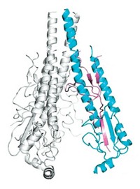 Serving the chemical, life science, and laboratory worlds