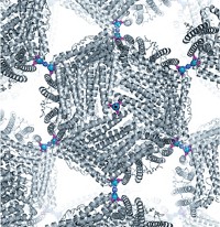 Serving the chemical, life science, and laboratory worlds