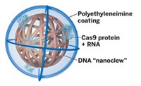 Serving the chemical, life science, and laboratory worlds