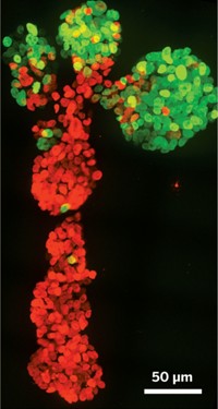 Serving the chemical, life science, and laboratory worlds