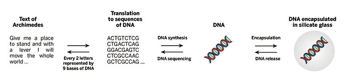 Scientists-Look-DNA-Long-Term