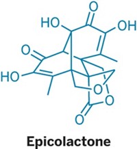 Serving the chemical, life science, and laboratory worlds