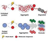 Serving the chemical, life science, and laboratory worlds