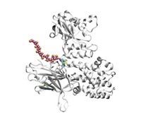 Serving the chemical, life science, and laboratory worlds