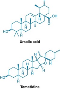 Serving the chemical, life science, and laboratory worlds