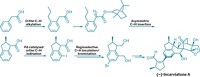 Serving the chemical, life science, and laboratory worlds