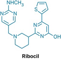 Serving the chemical, life science, and laboratory worlds