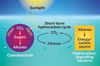 Serving the chemical, life science, and laboratory worlds