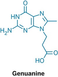 Serving the chemical, life science, and laboratory worlds