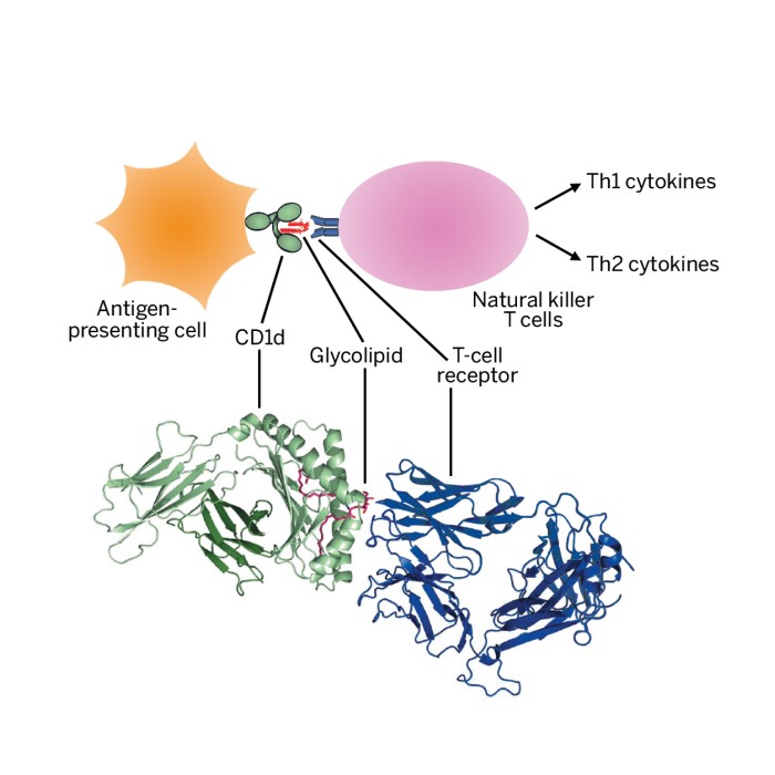 Serving the chemical, life science, and laboratory worlds