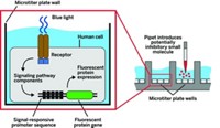 Serving the chemical, life science, and laboratory worlds
