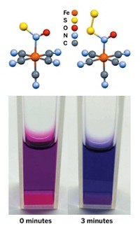 Serving the chemical, life science, and laboratory worlds