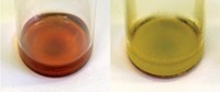 Serving the chemical, life science, and laboratory worlds