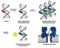 Serving the chemical, life science, and laboratory worlds