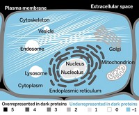 Serving the chemical, life science, and laboratory worlds