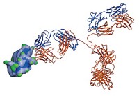 Serving the chemical, life science, and laboratory worlds