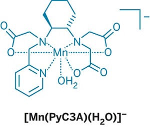 Contrast Medium: Using Gadolinium or Iodine in Patients with Kidney Problems