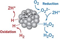 Serving the chemical, life science, and laboratory worlds