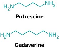 Serving the chemical, life science, and laboratory worlds