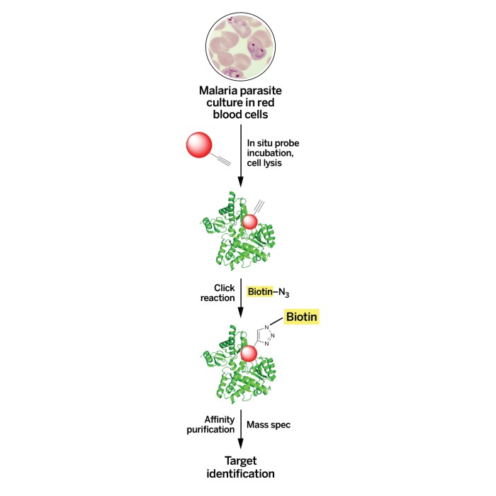 Well-Known-Malaria-Drug-Artemisinin
