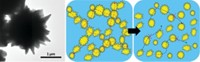 Serving the chemical, life science, and laboratory worlds