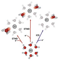 Serving the chemical, life science, and laboratory worlds