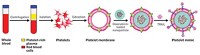 Serving the chemical, life science, and laboratory worlds