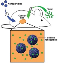 Serving the chemical, life science, and laboratory worlds