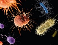Serving the chemical, life science, and laboratory worlds