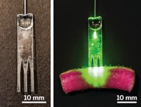 Serving the chemical, life science, and laboratory worlds