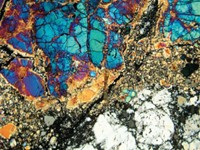 Serving the chemical, life science, and laboratory worlds