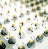 Serving the chemical, life science, and laboratory worlds