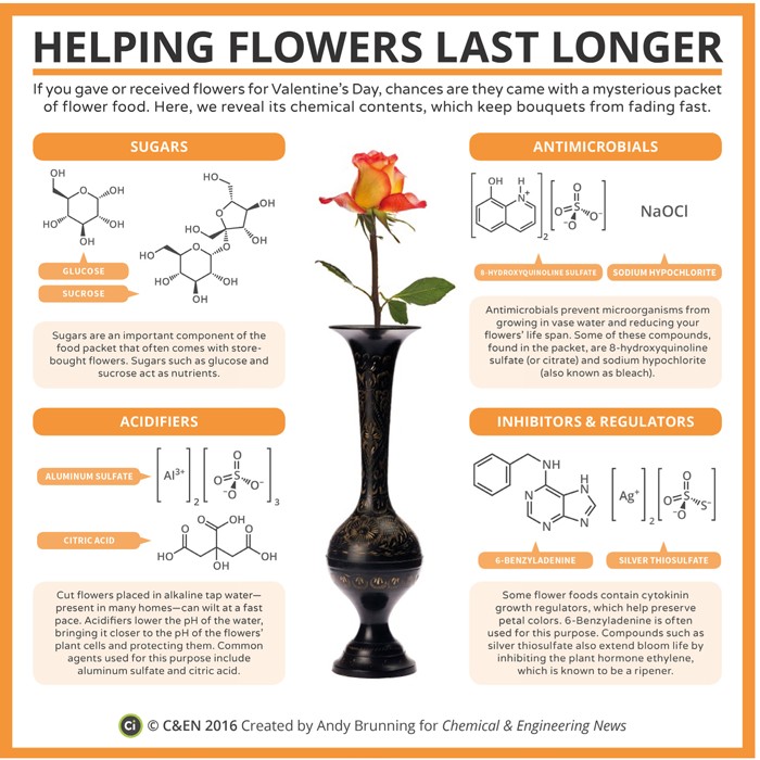 Periodic-Graphics-Helping-Flowers-Last-Longer