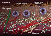 Serving the chemical, life science, and laboratory worlds