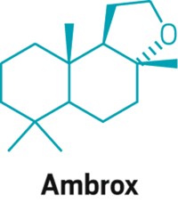 Serving the chemical, life science, and laboratory worlds