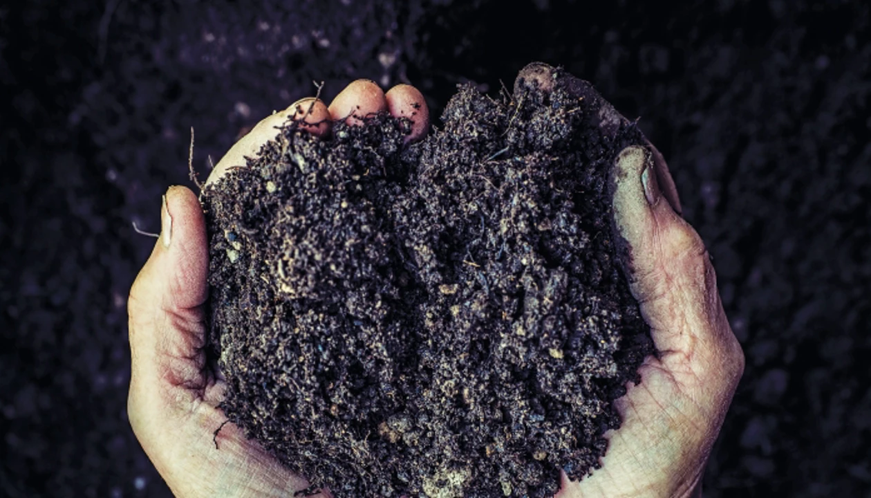 Regenerating degraded dirt