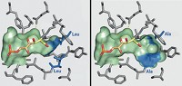 Serving the chemical, life science, and laboratory worlds