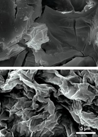 Serving the chemical, life science, and laboratory worlds