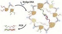 Serving the chemical, life science, and laboratory worlds