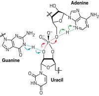 Serving the chemical, life science, and laboratory worlds