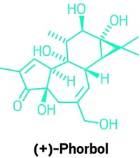 Serving the chemical, life science, and laboratory worlds