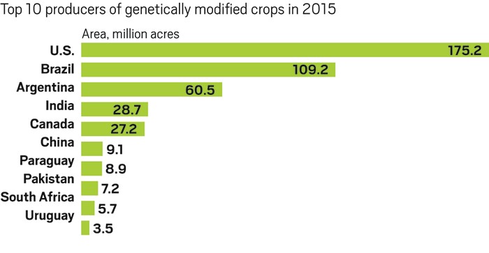 Farmers-plant-fewer-genetically-modified