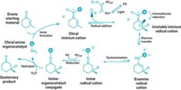 Serving the chemical, life science, and laboratory worlds